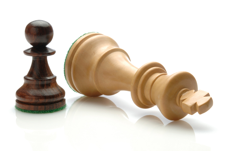 Image result for chess pawn with king